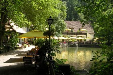 Waldhotel Silbermuehle Horn-Bad Meinberg Exterior foto